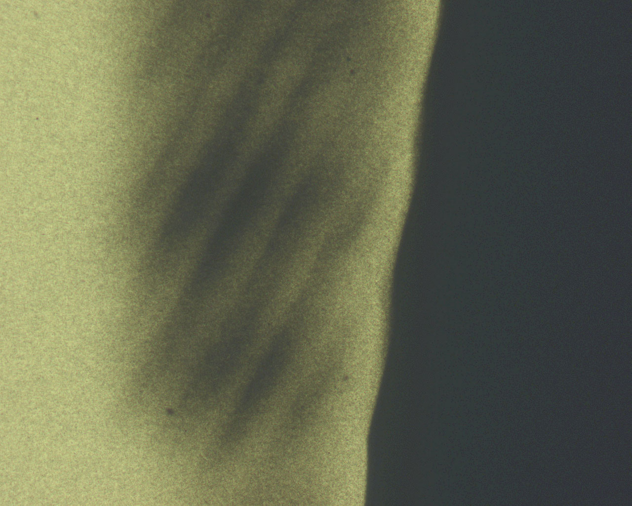 Microimage