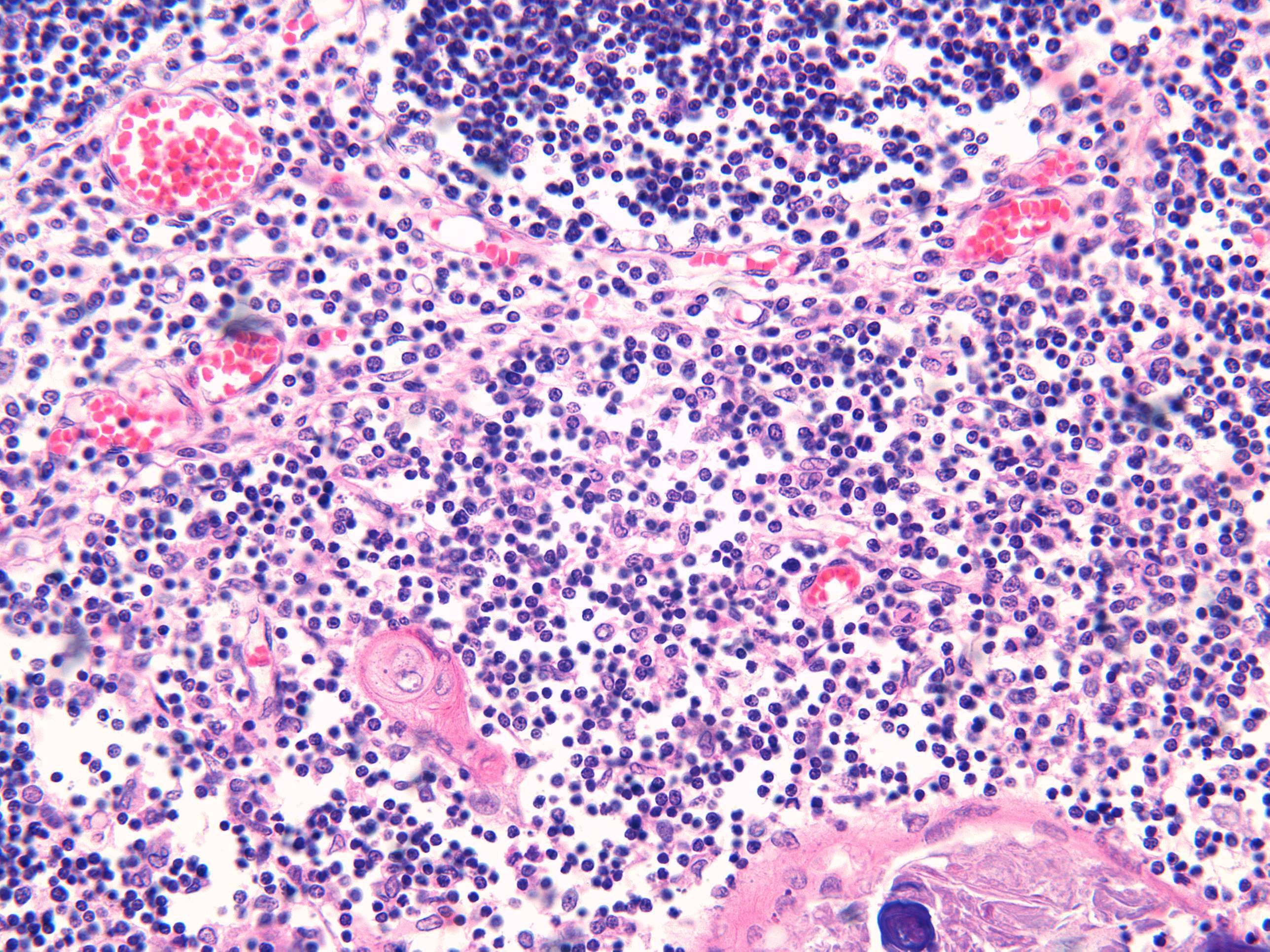Microimage