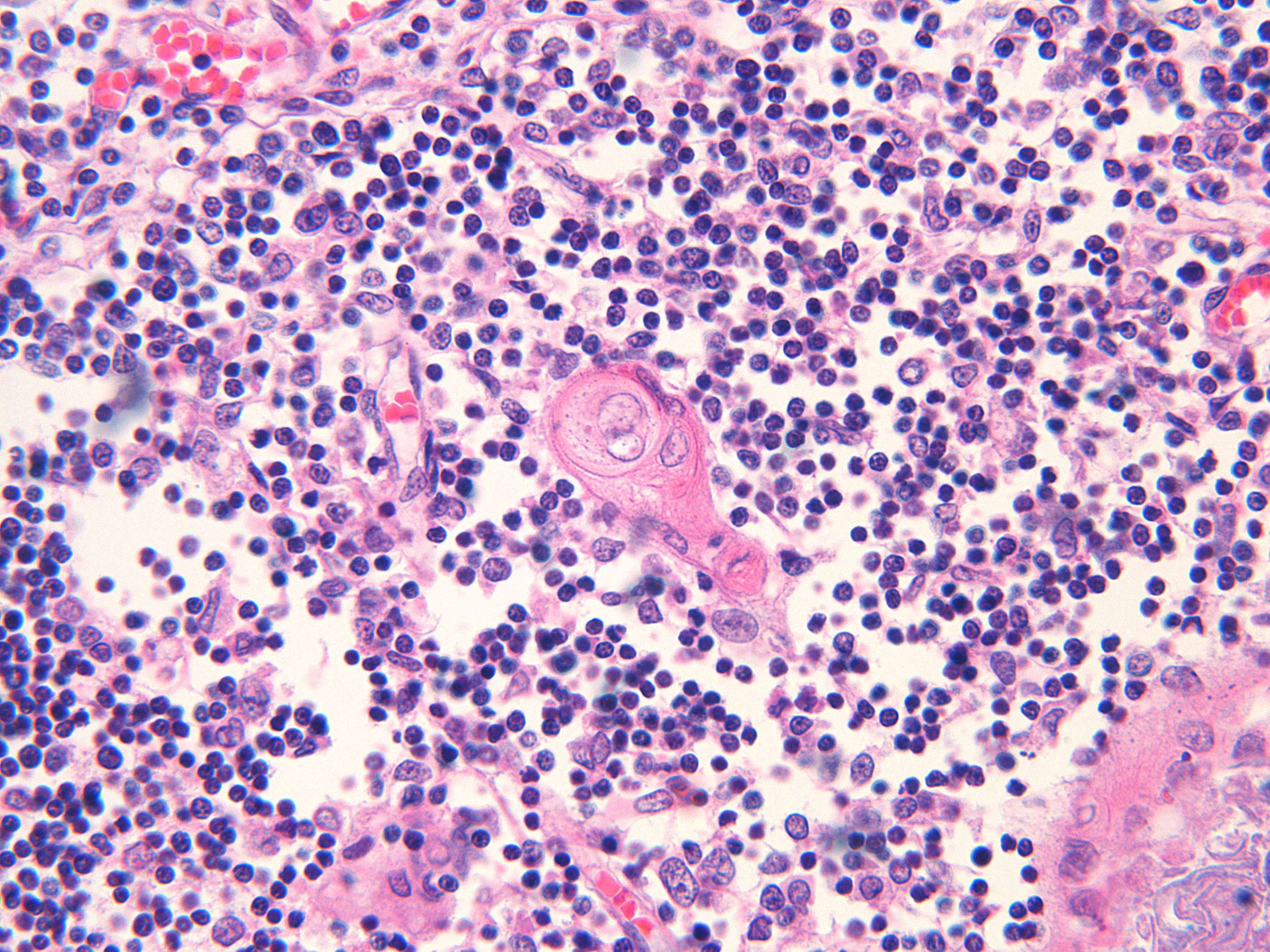 Microimage