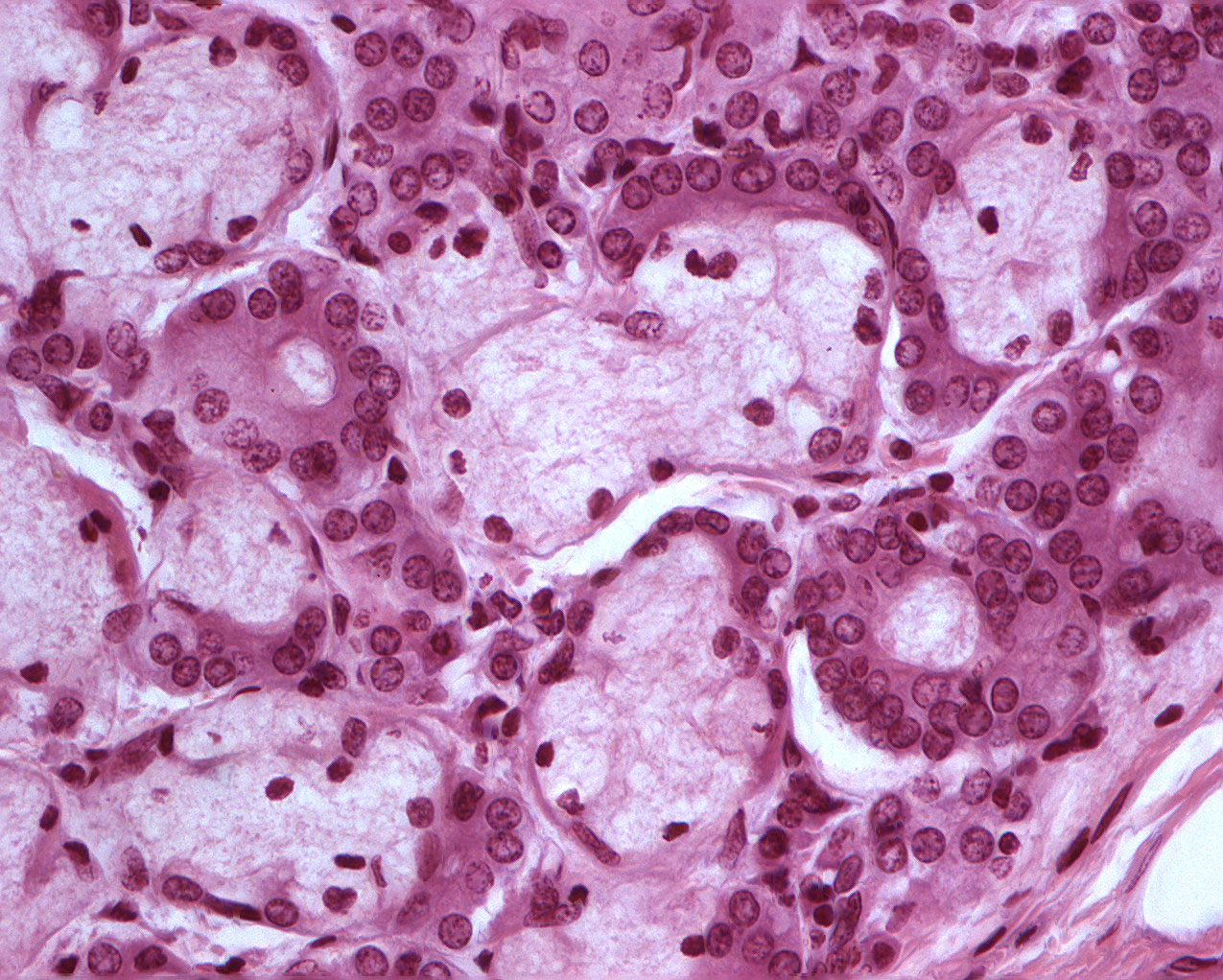 Microimage